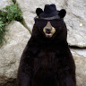 Meet your Posher, S.r.z